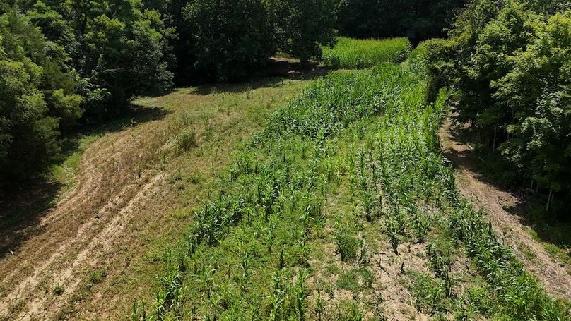 DJI_20250713152559_0569_D