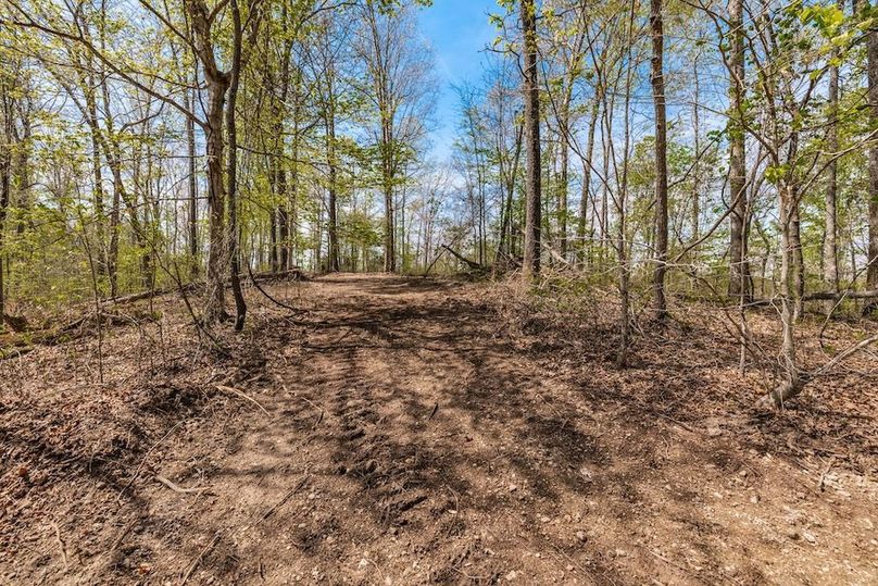 47-web-or-mls-0 Mound Creek Rd-17