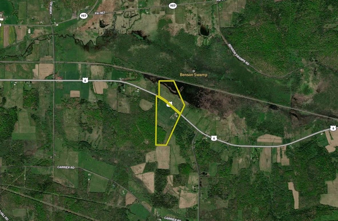 Screen Shot 2024-03-28 at 3.25.47 PM