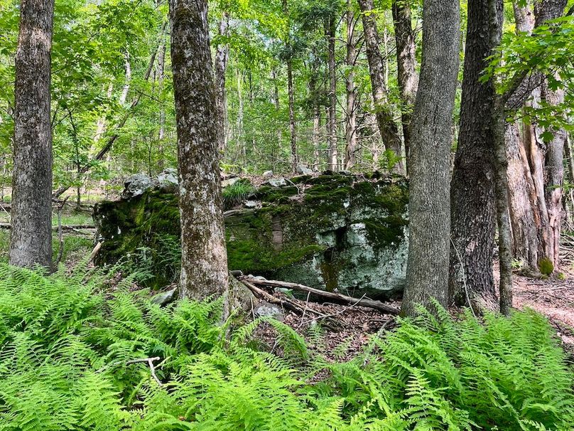 p37