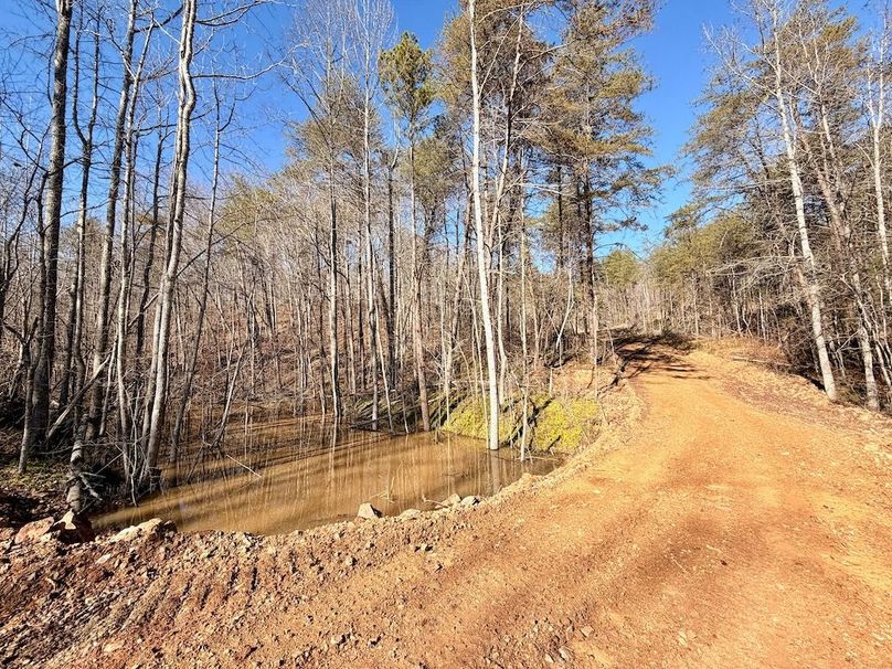 Roane Co TN 396 20251127_62