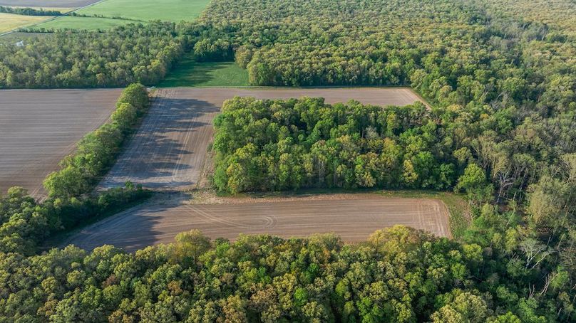 DJI_20260414075335_0005_D