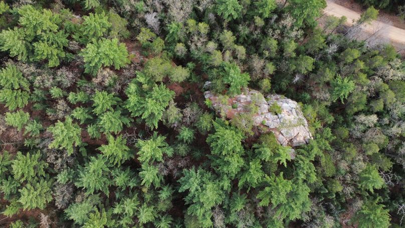 dji_fly_20230509_172110_419_1683724266415_photo_optimized