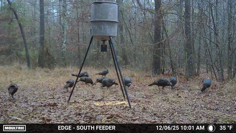 2706761-20251206160315-100MFCAM_MFDC0837