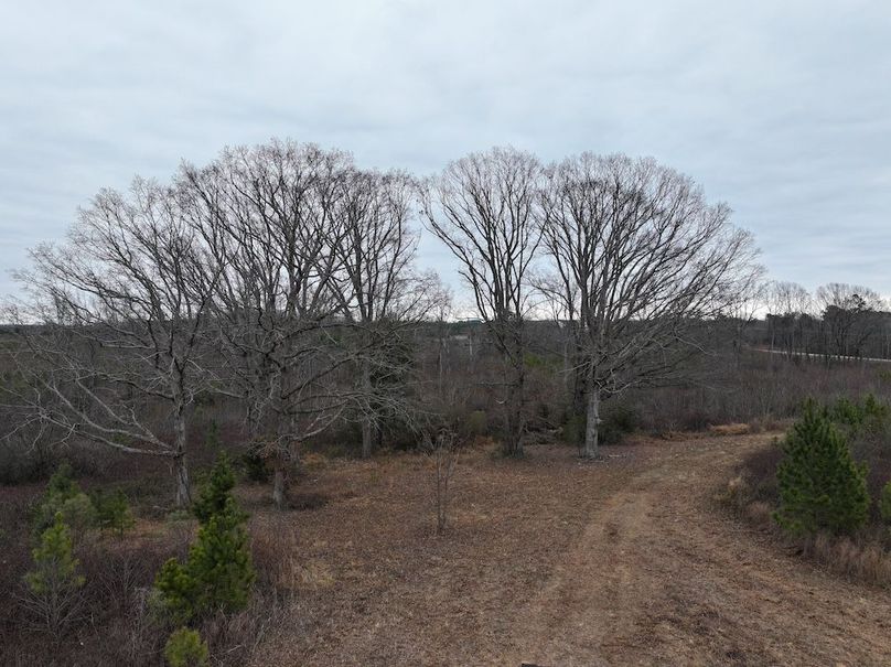 dji_fly_20251224_114534_0247_1767705634797_photo