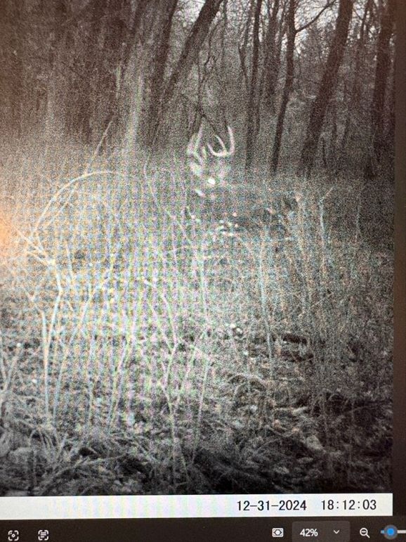 067B7808-BF46-42E6-AA0B-C3B20D1F22D1