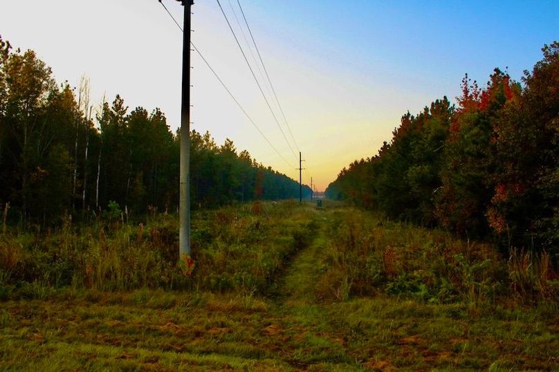 3561FF54-9FBB-4713-BBE9-4064B3AFB5F1_1_105_c