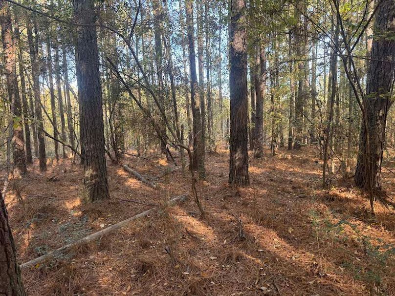 Jeff 11720251111_0220