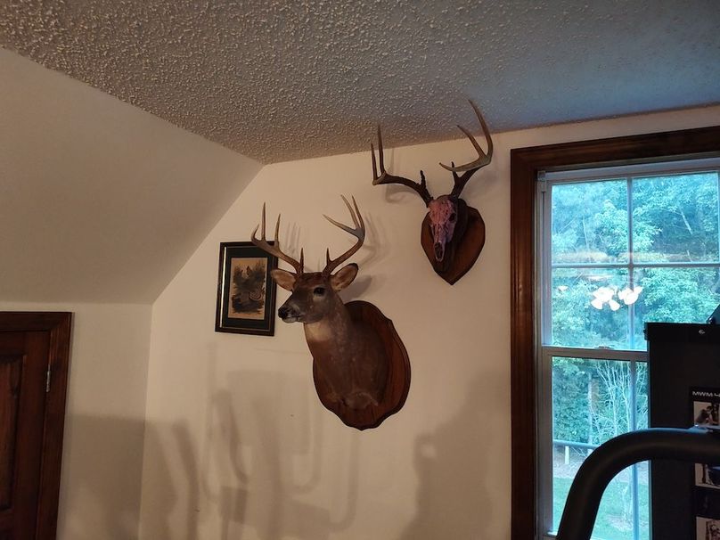 IMG_20250611_202433868