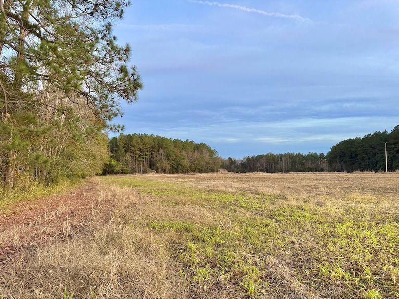 E9216E87-C344-414D-A814-6FDCC4CC3763