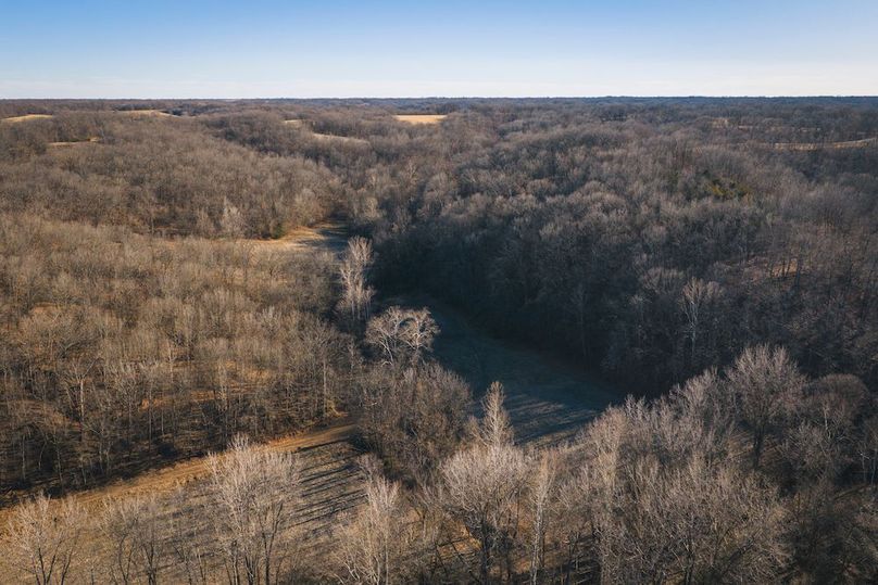 DJI_20260218154249_0618_D