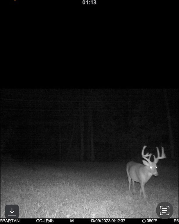 trail cam5