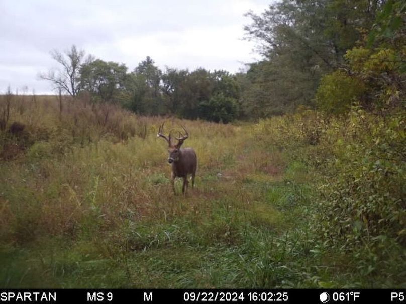 File Sep 22 2024, 11 06 36 PM