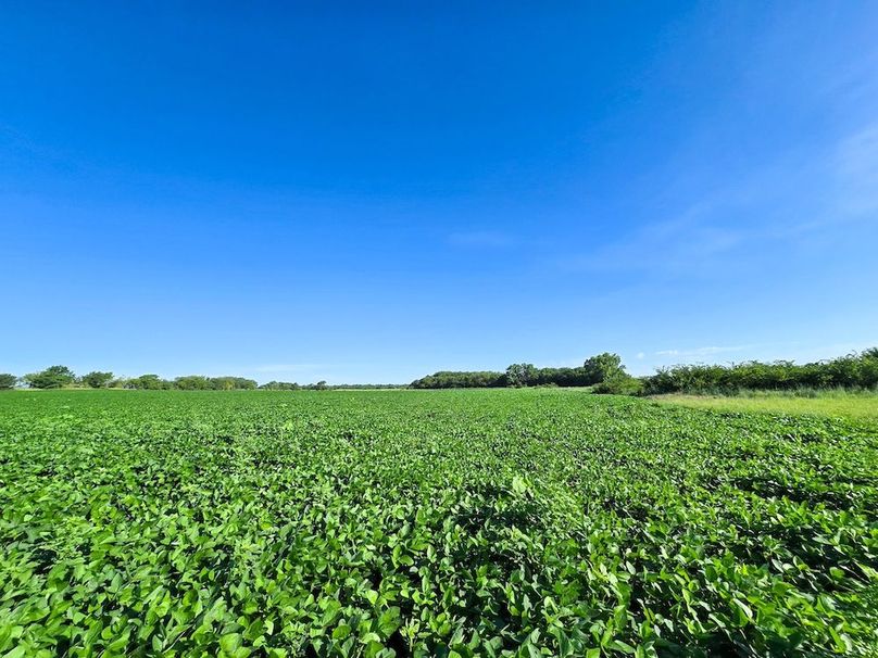 Copy of 20250729_085506