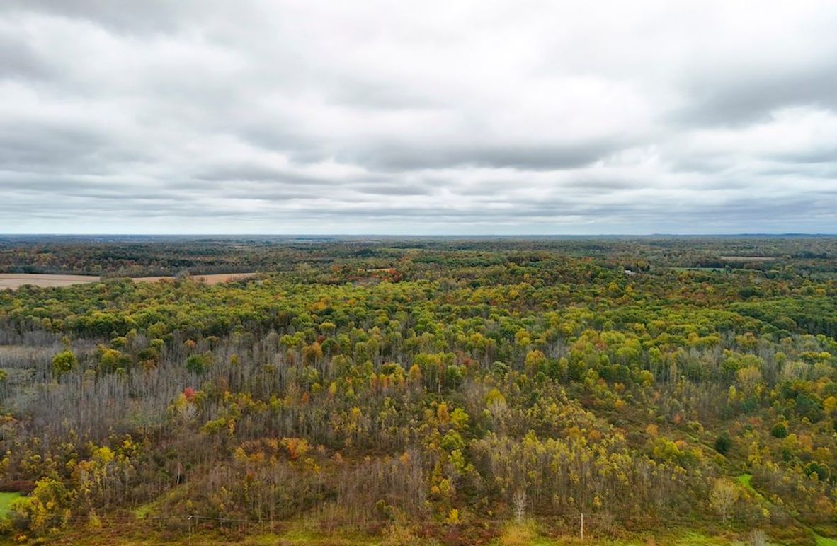 Wayne_29.09_BD_LandNorth_Parcel_4