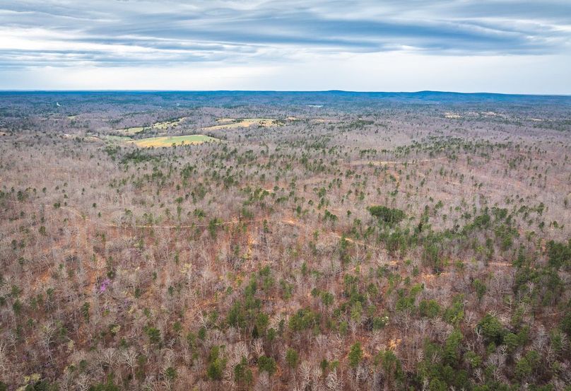 DJI_20250403135332_0610_D