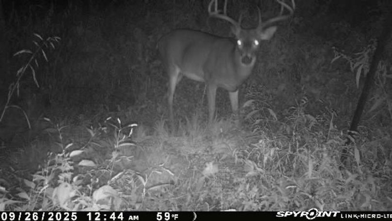 Trail Cam 1