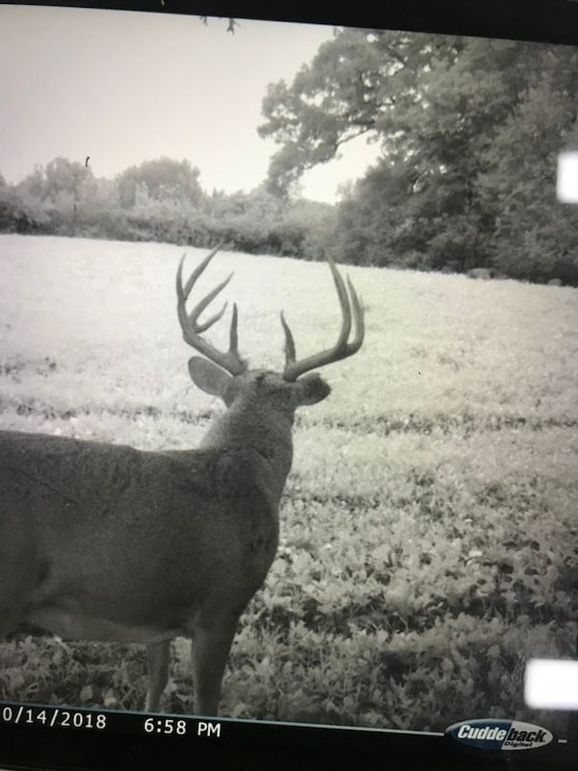 5DC000E5-7FDB-4F59-AD92-B38F63177EEC_1_105_c