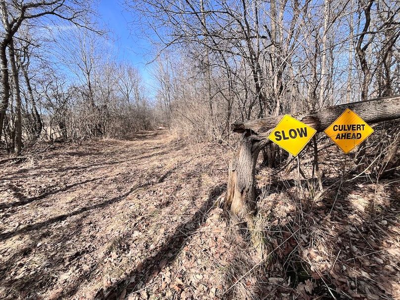 Lewis_26_Somberg Photo 13