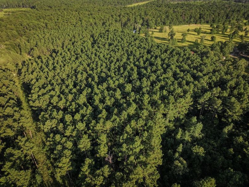 Copy of DJI_20240704190720_0029_D