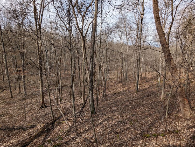 PXL_20230213_163446140