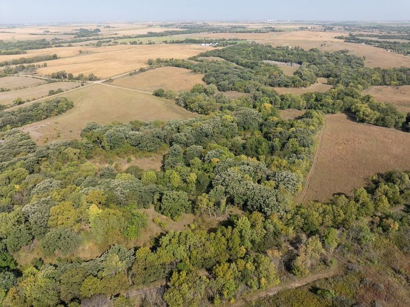 20240913-DJI_20240913104915_0100_D