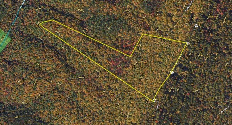 Shenandoah 35.51 Topo