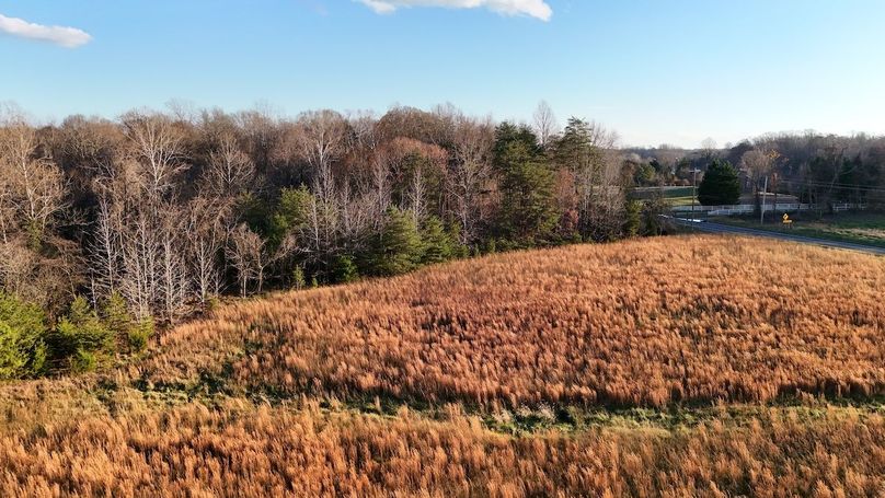 24_First Picture_dji_fly_20251126_154822_0093_1764525903317_photo