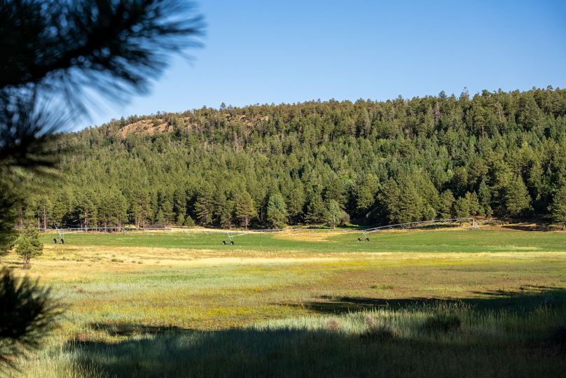 Cibola NM 13,053--85