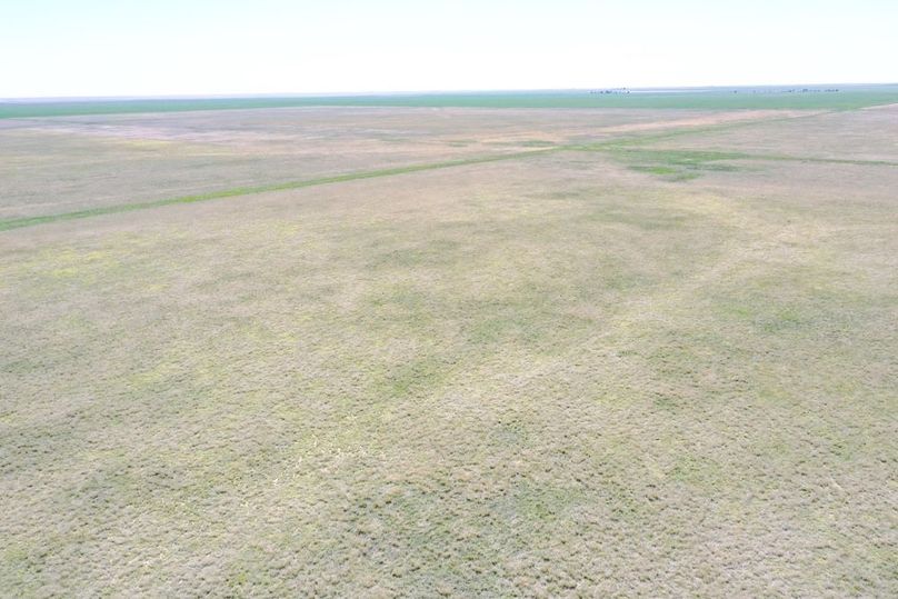 DJI_0663