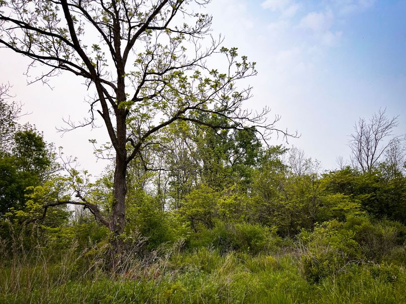 Ontatio_73.3_Green Photo 22