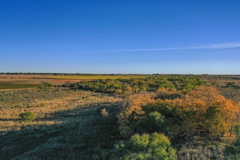 org_33447af03d1ed660_1762731904000