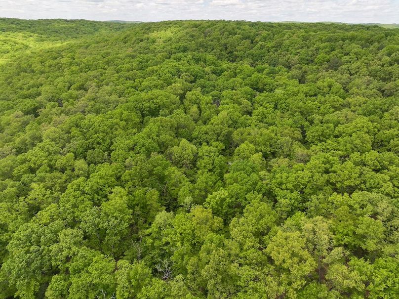 DJI_20250506124916_0237_D