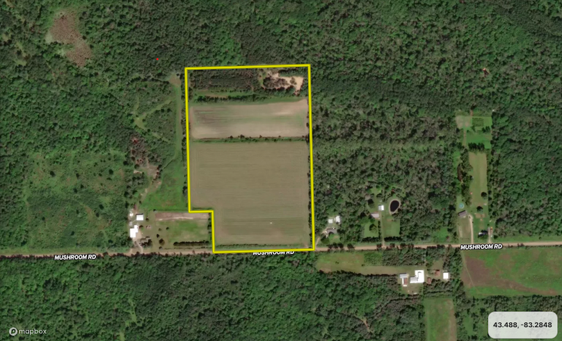 Close up Aerial, Dennis