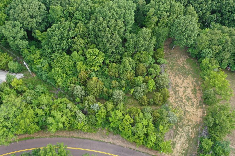 DJI_0583