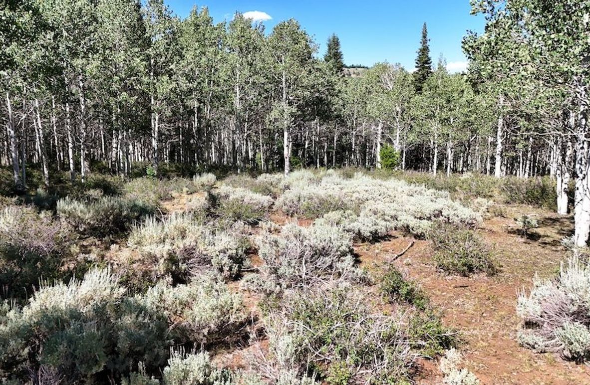 DJI_20250726162015_0015_D