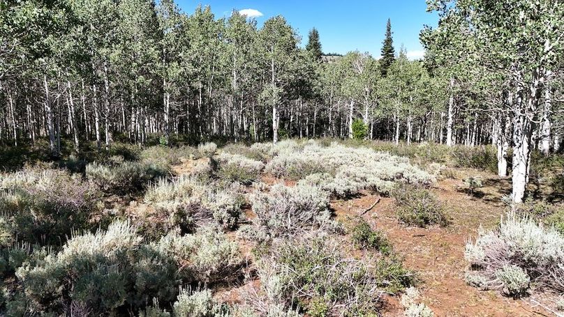 DJI_20250726162015_0015_D