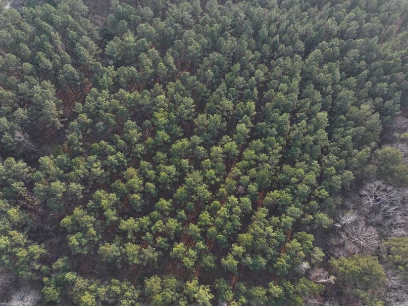 F109 - 105 Acres - Drone-8