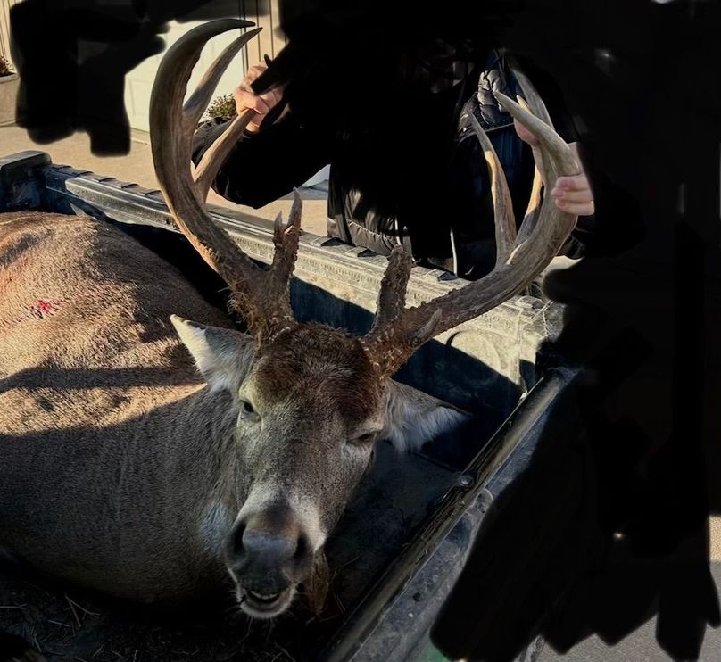 Copy of Tract 2 12.5