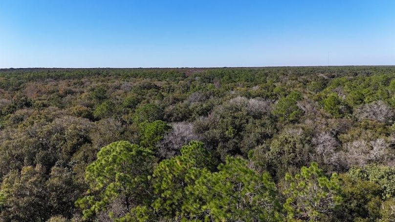 DJI_20251114140712_0970_D