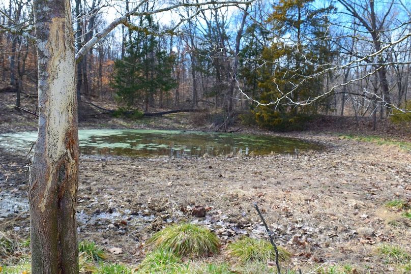 DSC_0302_inPixio (2)