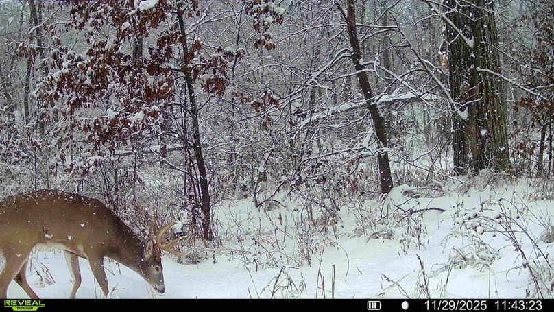 016578000207826-1-3-11292025122314-HD-SYFW04502