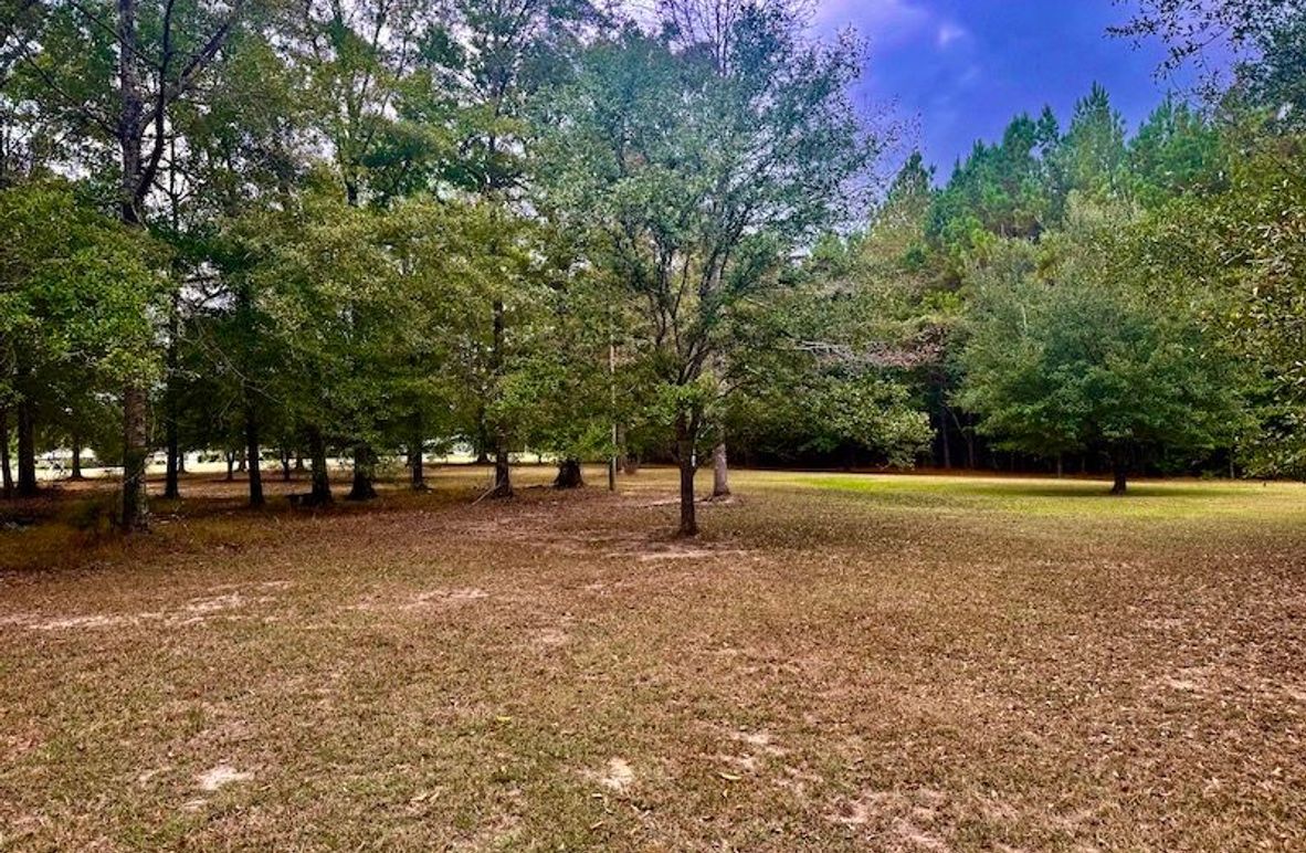 2AA435BB-8D34-4F55-8506-CDA362EB18E6_1_201_a