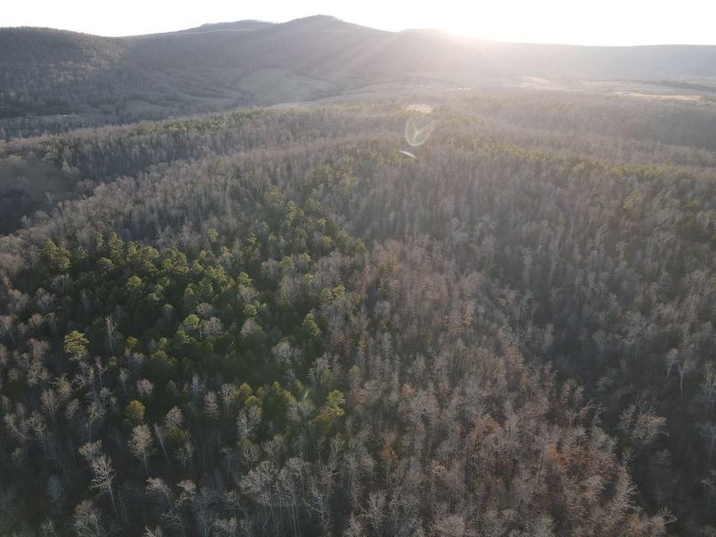 DJI_0316