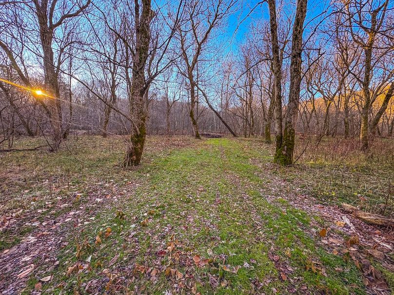 Pleasants_Wood 169.97 AC Cokeley-16