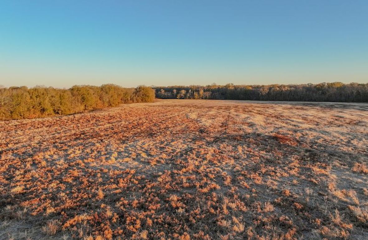 St. Francis 216.9 Calvin Parker Farms Profile -05