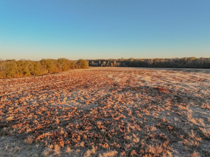 St. Francis 216.9 Calvin Parker Farms Profile -05