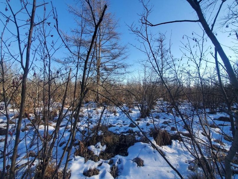 Resized_20240131_151803