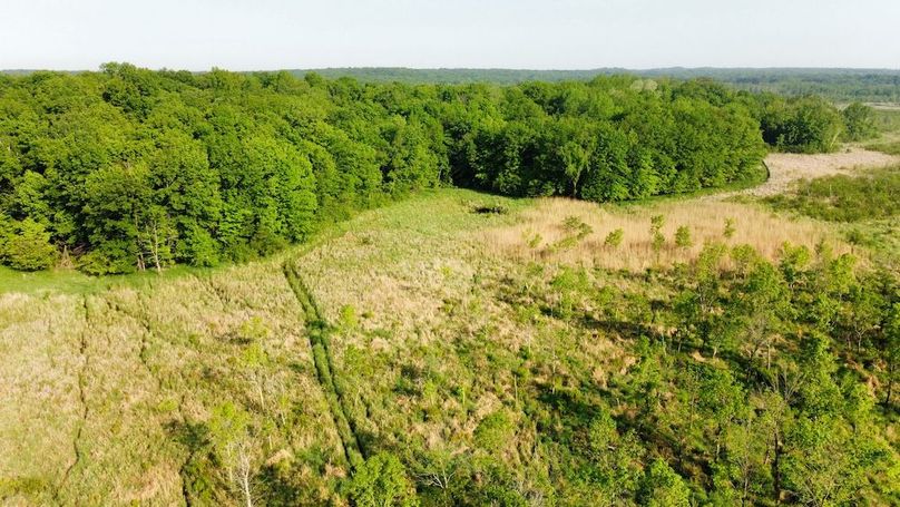 dji_fly_20250604_081116_354_1749042687354_photo_optimized