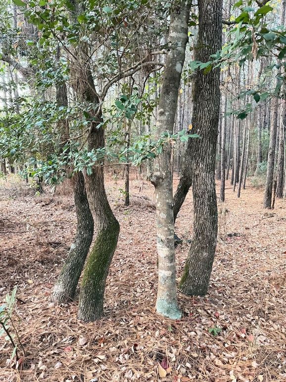 EA836363-3C7B-44A8-8586-CDA1C6D8A25D